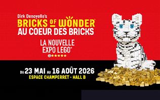 Bricks of Wonder - Au Coeur des Bricks